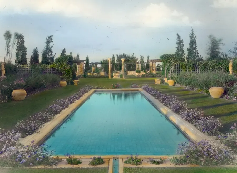 La piscine bordée de lavande et d'oliviers