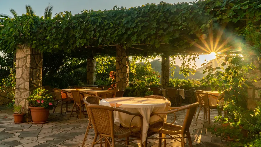 La terrasse sous la treille, au soleil couchant